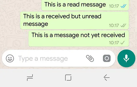 Что означают маленькие галочки в WhatsApp?