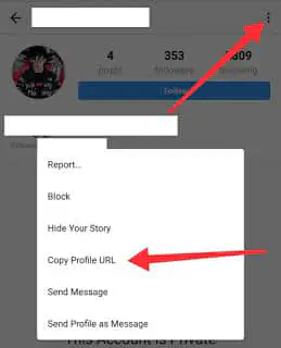 Как просматривать частные профили и фотографии Instagram без слежки