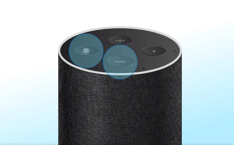 Где находится кнопка сброса Amazon Echo?