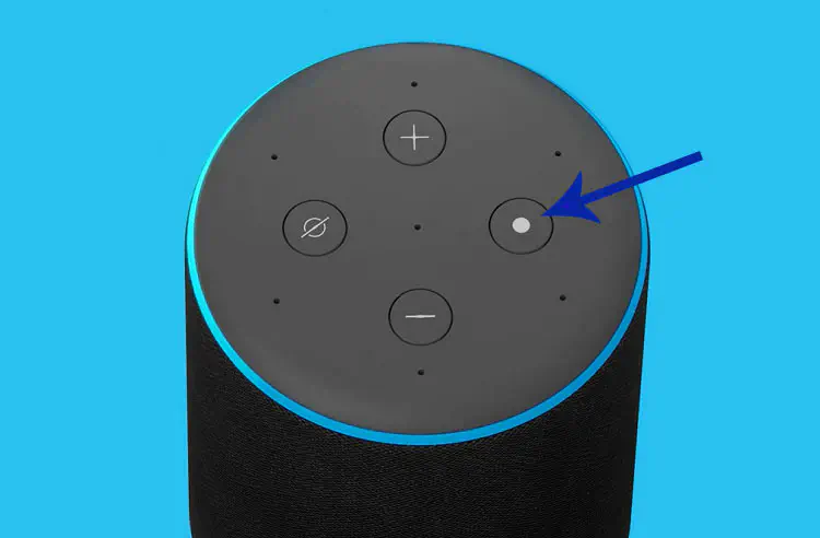 Где находится кнопка сброса Amazon Echo?