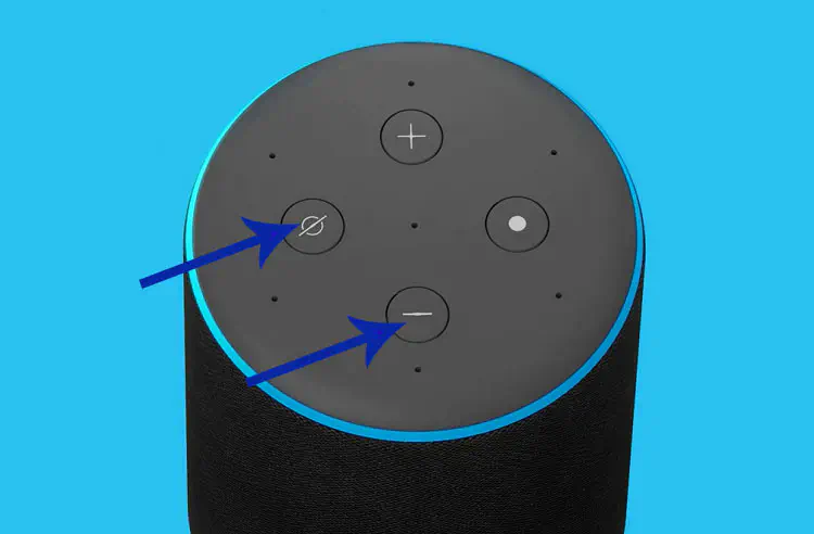 Где находится кнопка сброса Amazon Echo?