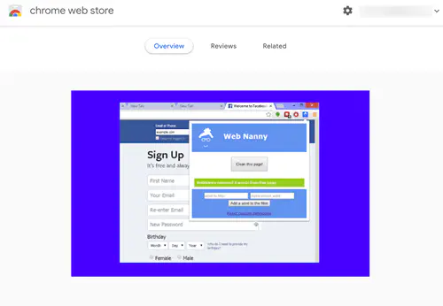 Обзор расширения Chrome Nanny