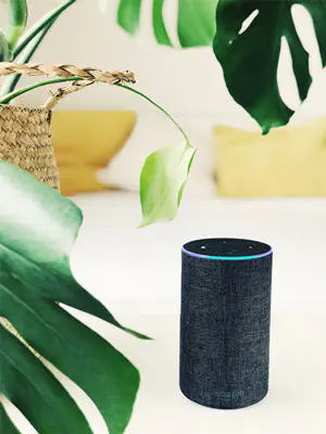 Что умеет Amazon Echo?