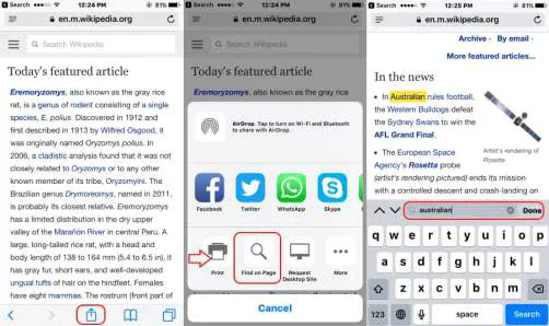 Как искать текст на iPhone в Chrome или Safari