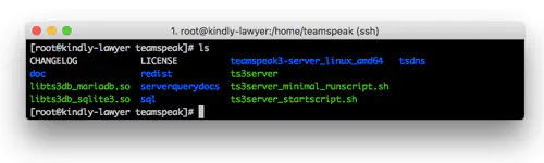 Как создать частный сервер в TeamSpeak