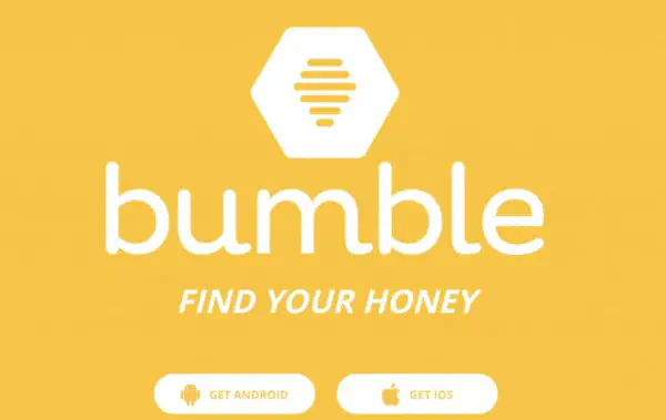 Как использовать Bumble Beeline
