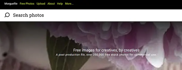 Лучшие сайты бесплатных стоковых фотографий для фантастических изображений без авторских прав