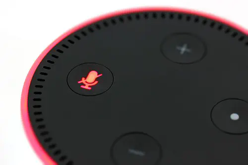 Что делать, если ваша точка Amazon Echo Dot намокла