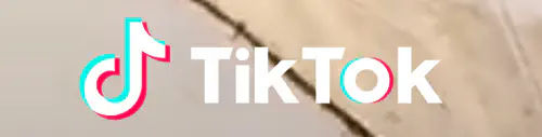 Как нарисовать собаку в TikTok