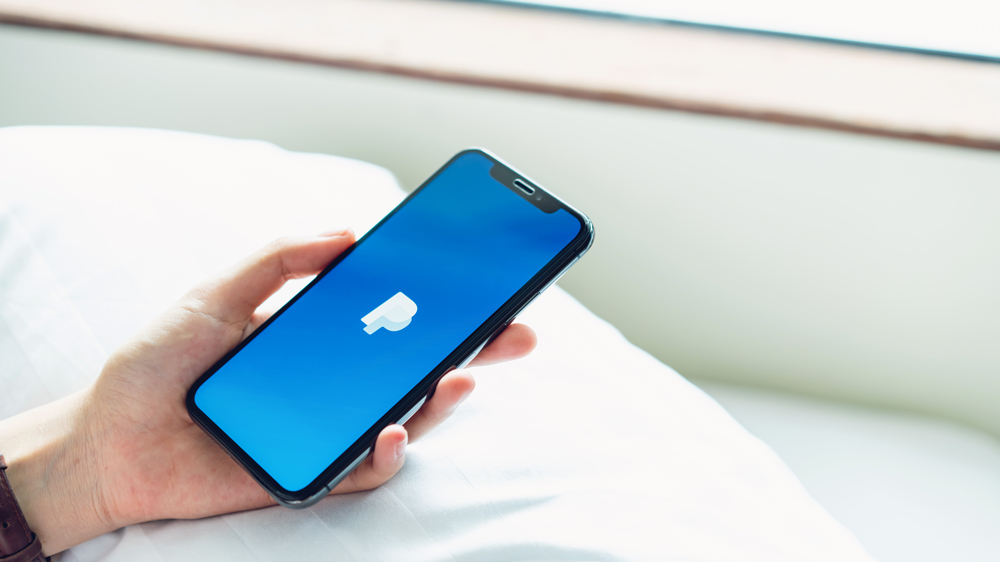 Является ли PayPal бесплатным? Сколько это стоит?