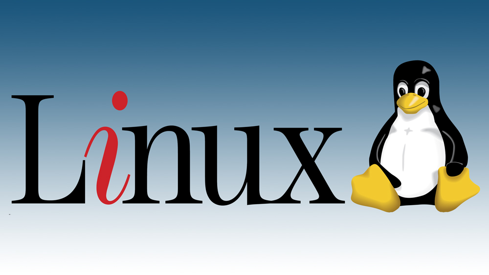 Как удалить каталог в Linux