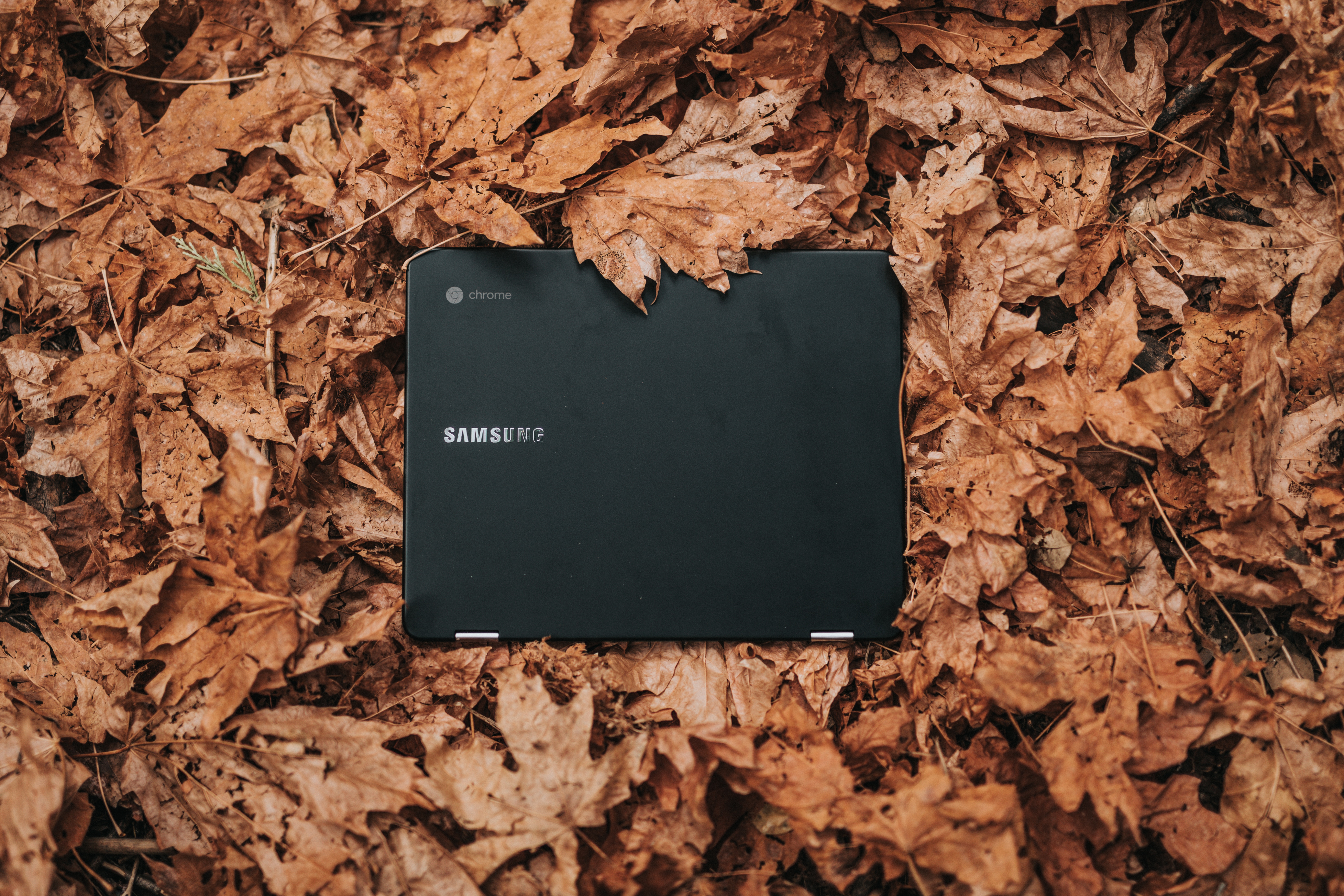 Как проверить технические характеристики вашего Chromebook